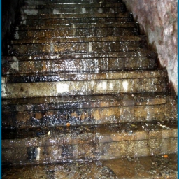 g1_12.jpg