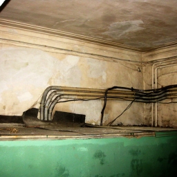 g9a_8.jpg