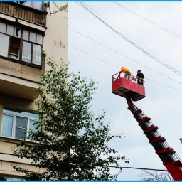 k1_20.jpg